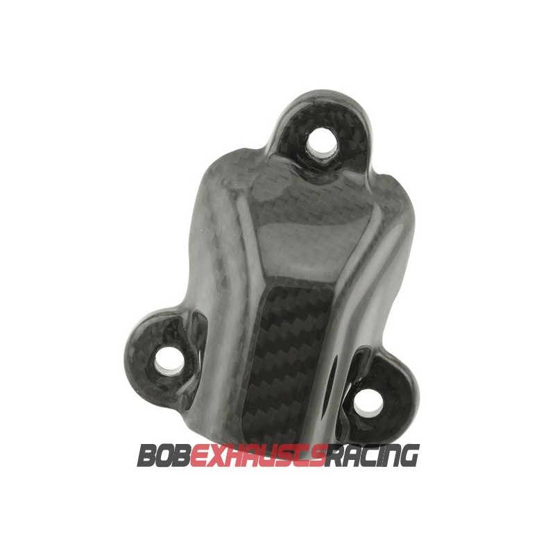 TAPA  BOMBA DE AGUA CARBONO S1000RR 2019-