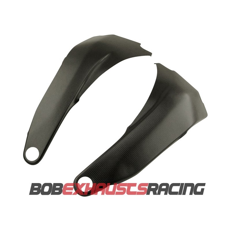 PROTECTORES DE CHASIS CARBONO PANIGALE V4