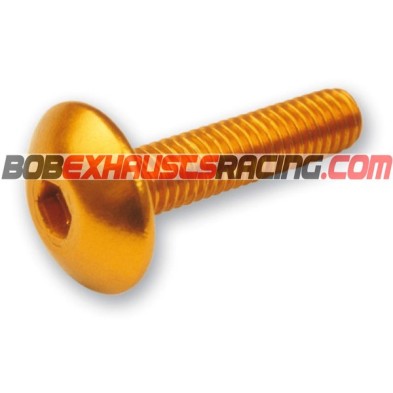 ANODIZED CONVEX ALLEN SCREWS