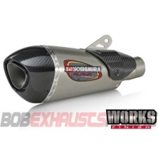 SILENCIOSO STREET SERIES FULL RACE ALPHA T WORKS FINISH 2