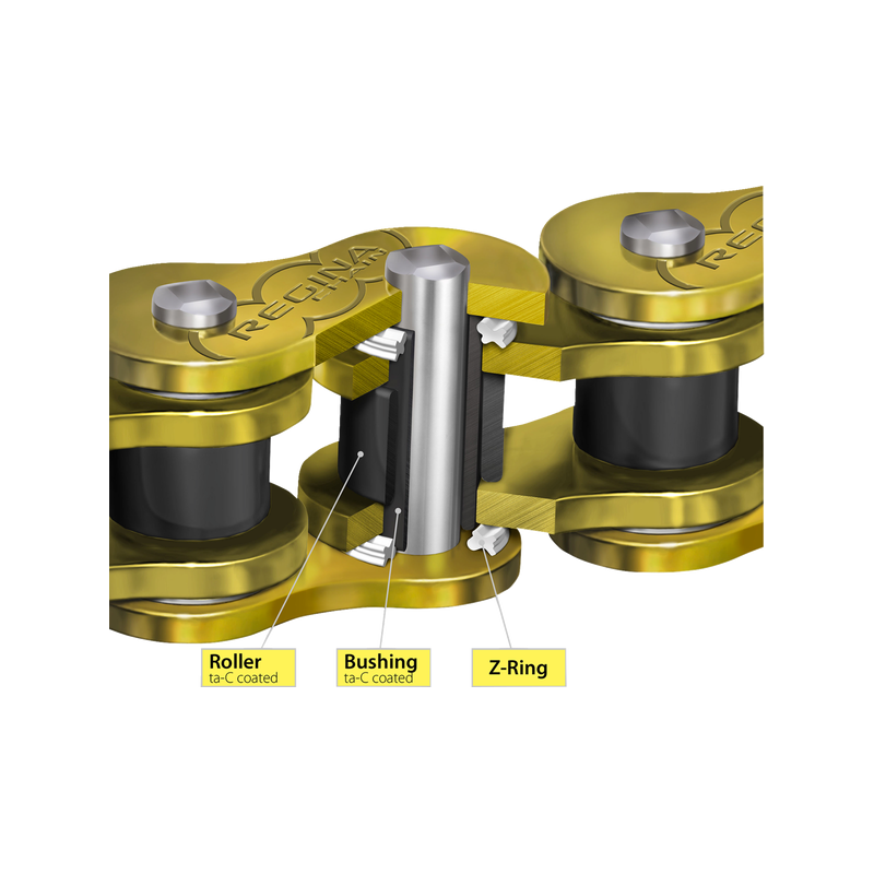 REGINA CADENA 520 HPE 120 ESLABONES