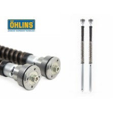 OHLINS CARTRIDGE NIX30 YAMAHA YZF R6 - R1 FGK235 2