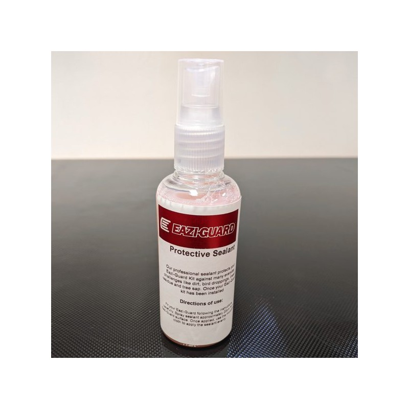 EAZI GRUARD PROFESSIONAL SEALANT PROTECCION KIT