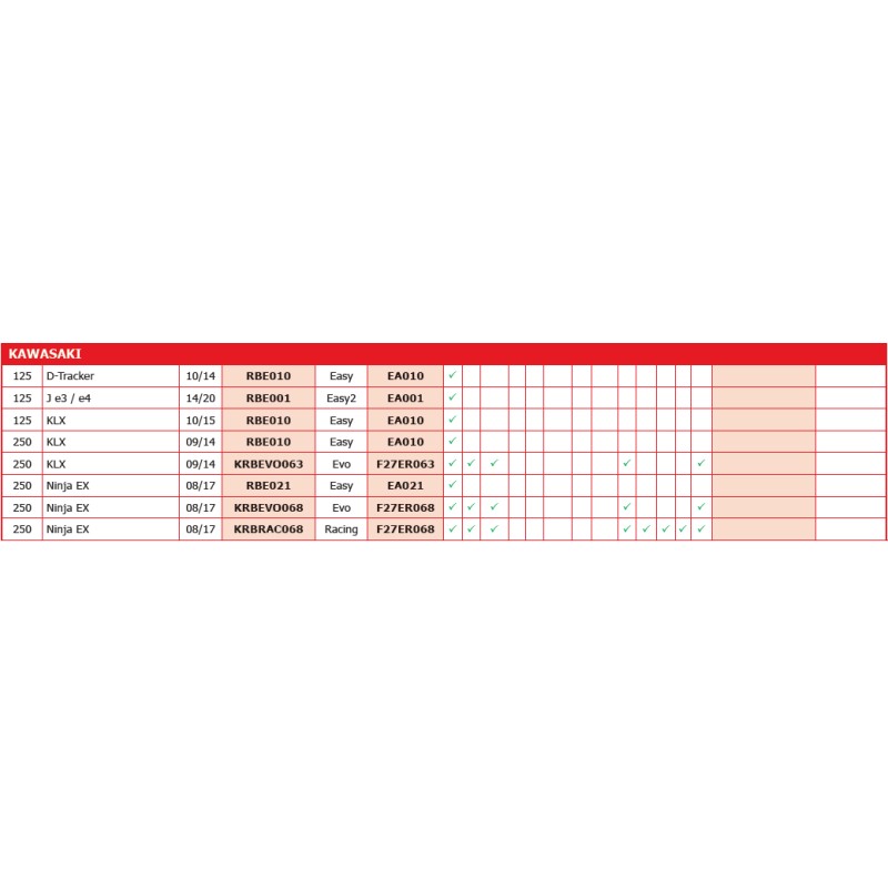 RAPID BIKE EVO KAWASAKI KRBEVO