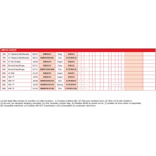 RAPID BIKE EASY MOTO GUZZI 2