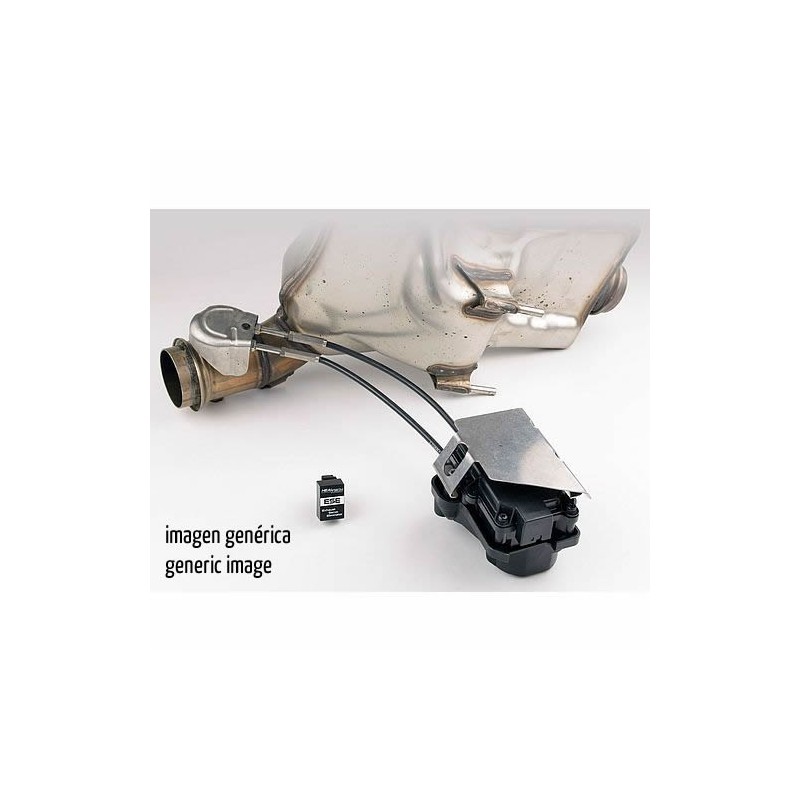 HEALTECH EXHAUST VALVE FAILURE CANCELER TRIUMPH