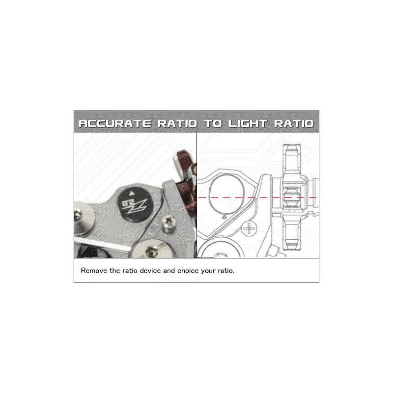 ZETA CLUTCH LEVER PIVOT PERCH CP ZE43