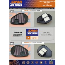 DNA FILTRO DE AIRE HARLEY DAVIDSON P-HD7N15-01 2