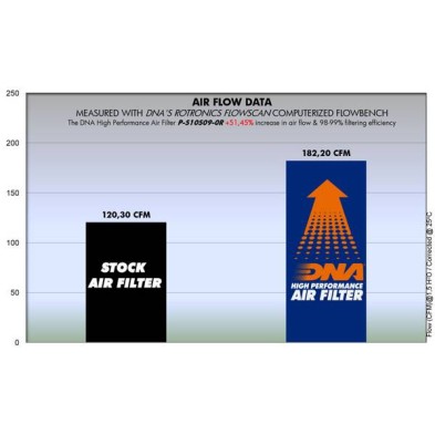 DNA FILTRO DE AIRE SUZUKI P-S10S09-0R