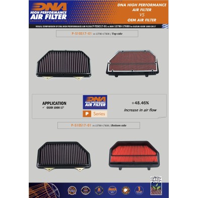 DNA FILTRO DE AIRE SUZUKI P-S10S17-01