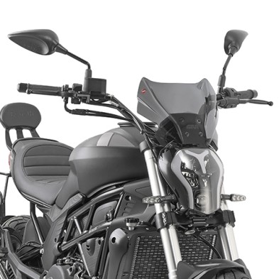 GIVI UNIVERSAL SCREEN 1173S