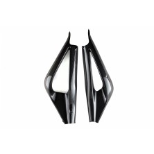 ROK'S CARBON CARBON SWINGARM COVERS DAYTONA 675 06-12 TR67506-05
