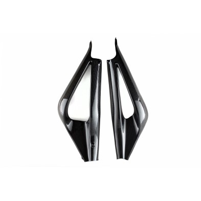 ROK'S CARBON CARBON SWINGARM COVERS DAYTONA 675 06-12 TR67506-05