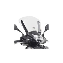 GIVI D1100ST SCREEN