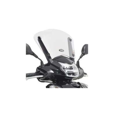 GIVI CUPULA D1100ST