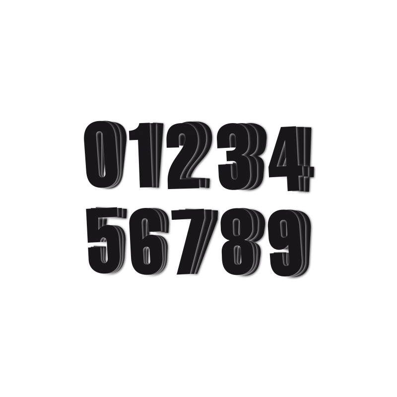 BLACKBIRD RACE NUMBERS 5047/20