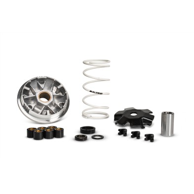 MALOSSI VARIADOR MULTIVAR 517075