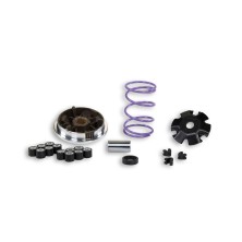 MALOSSI MULTIVAR MHR 51 8648