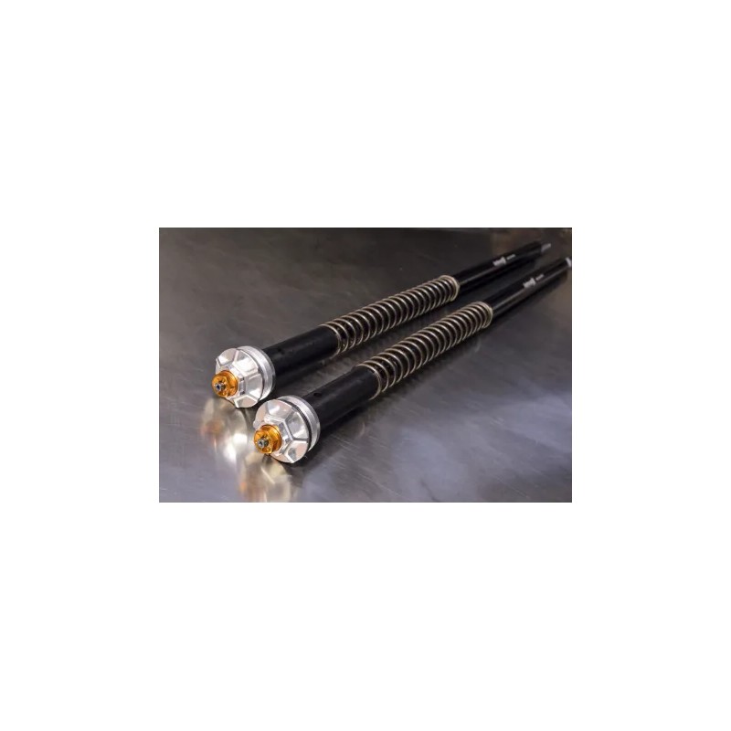 ANDREANI CARTUCHOS DE HORQUILLA MISANO EVO HONDA CBF 600HORNET 2005-2009