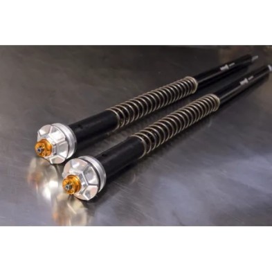 ANDREANI FORK CARTRIDGES MISANO EVO HONDA CBF 600HORNET 2005-2009