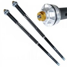 ANDREANI FORK CARTRIDGES MISANO EVO HONDA CBF 600HORNET 2005-2009 2