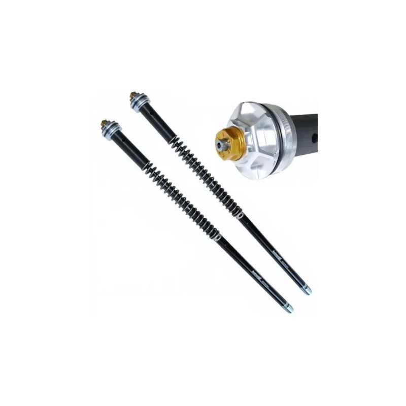 ANDREANI FORK CARTRIDGES MISANO EVO HONDA CBF 600HORNET 2005-2009