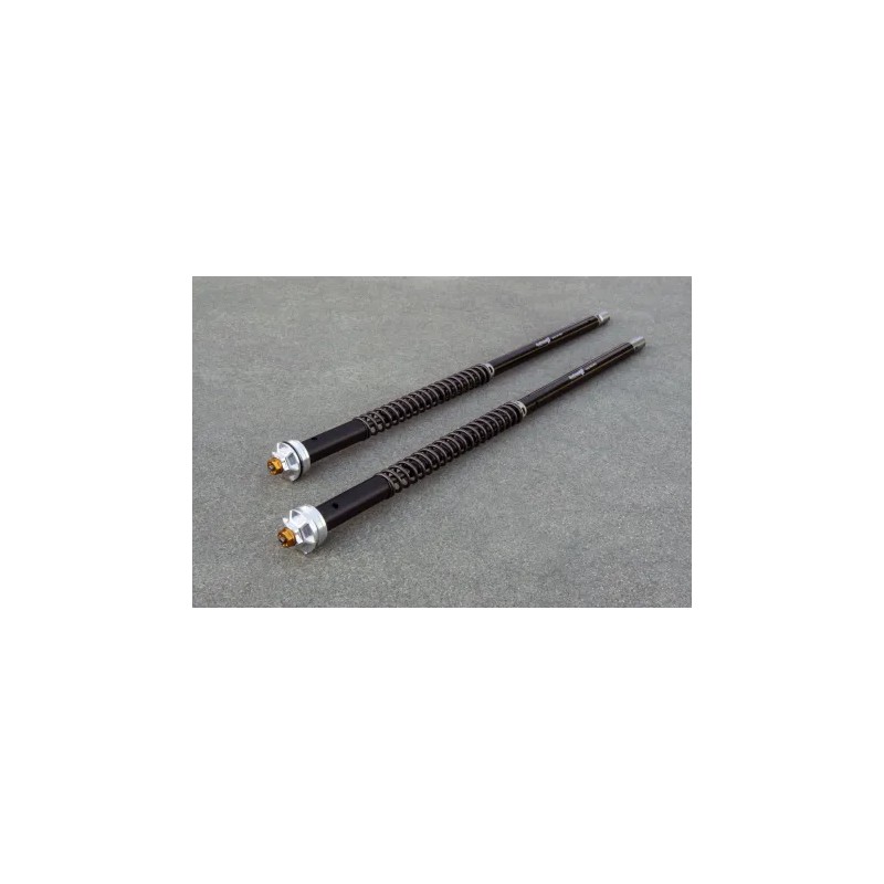 ANDREANI FORK CARTRIDGES MISANO EVO HONDA CBF 600HORNET 2005-2009