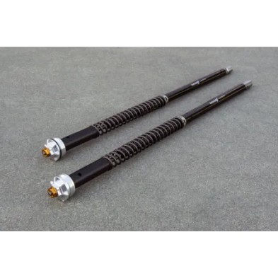ANDREANI FORK CARTRIDGES MISANO EVO HONDA CBF 600HORNET 2005-2009