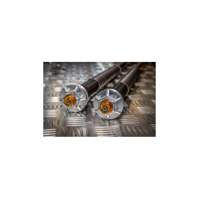 ANDREANI CARTUCHOS DE HORQUILLA MISANO EVO HONDA CBF 600HORNET 2005-2009