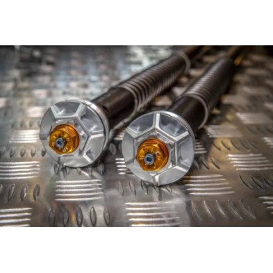 ANDREANI FORK CARTRIDGES MISANO EVO HONDA CBF 600HORNET 2005-2009