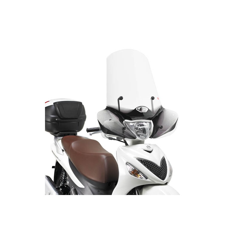 GIVI Windscreen 169A