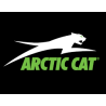 Arctic cat